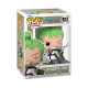 FUNKO Pop One Piece Roronoa Zoro 923